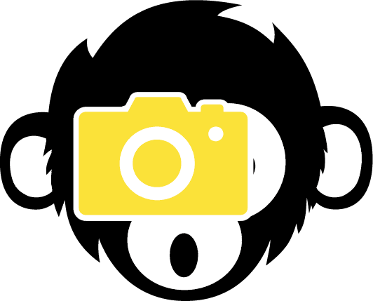 Foto affe